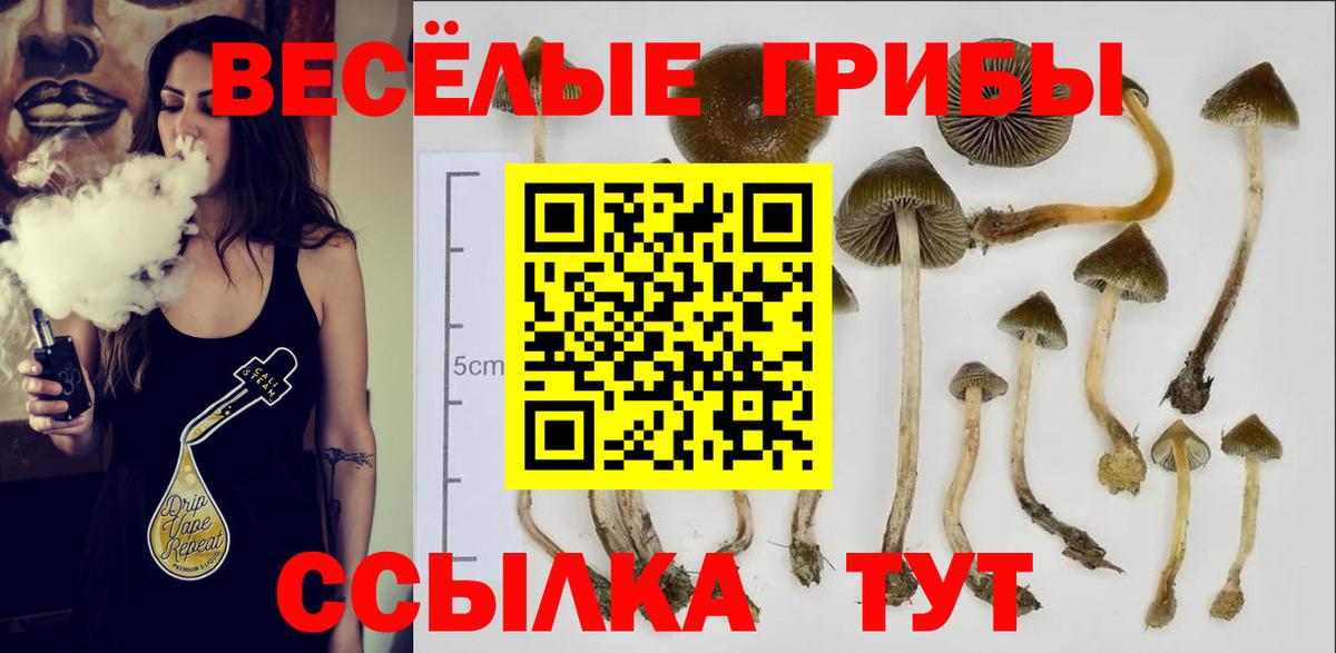 Галлюциногенные грибы мицелий Костомукша