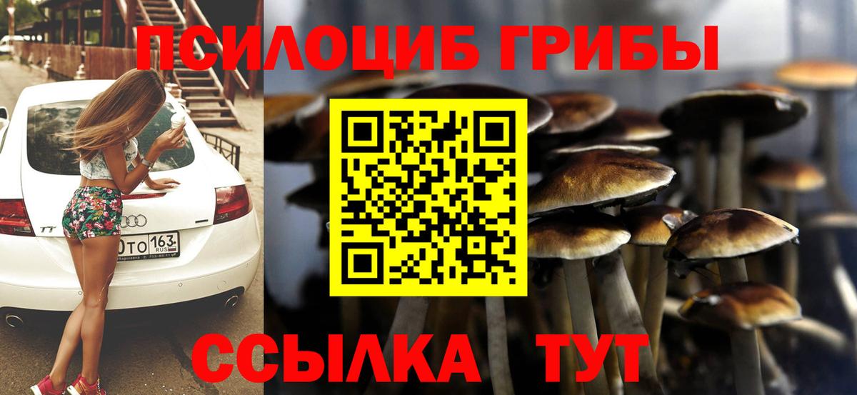 Псилоцибиновые грибы мухоморы  Вход с VPN  где продают наркотики  Костомукша 